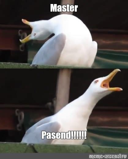 Pasend Mater .